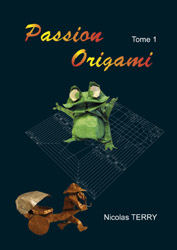 Passion Origami - Tome 1