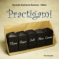 Practigami