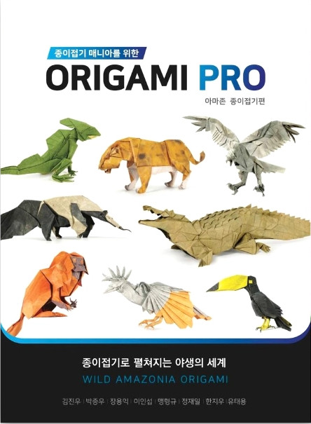 ORIGAMI PRO: WILD AMAZONIA ORIGAMI : page 41.