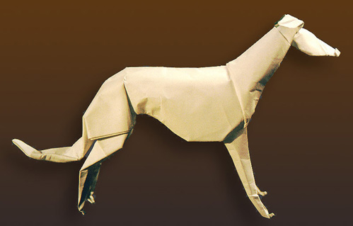 Greyhound