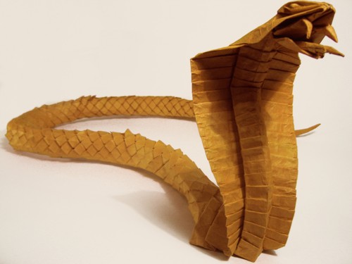 model image
