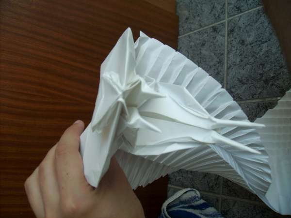 model image