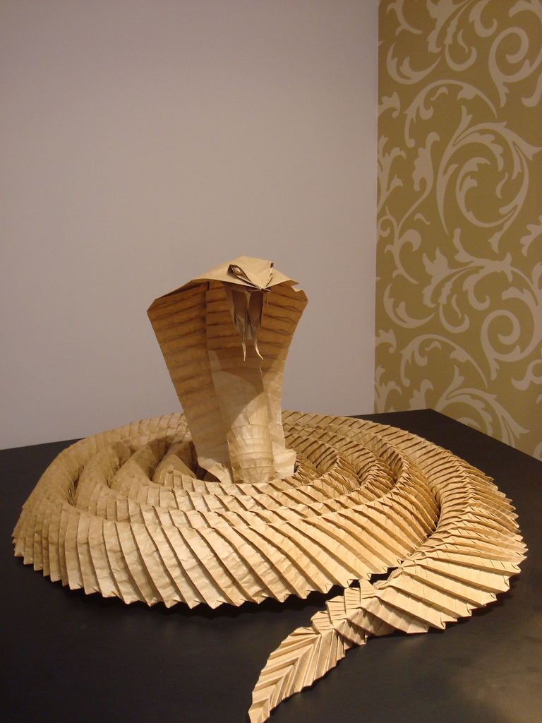model image