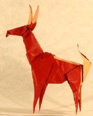 Antelope