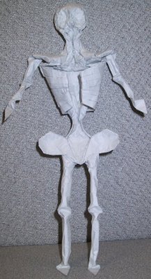 Skeleton