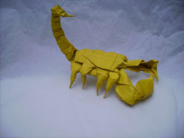 model image