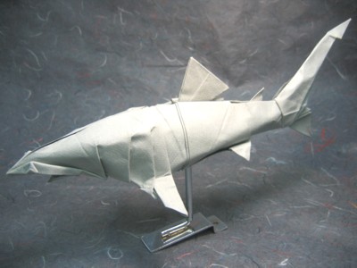 Blue Shark