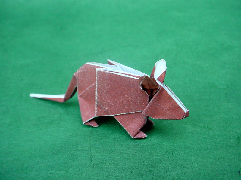 model image