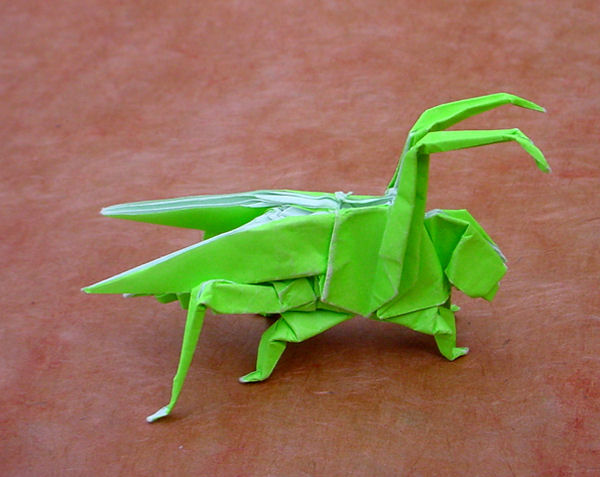 model image