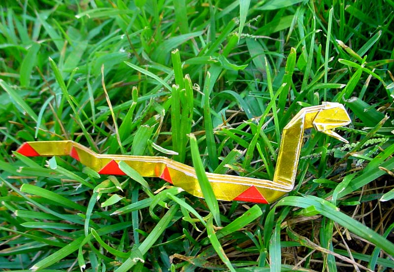model image