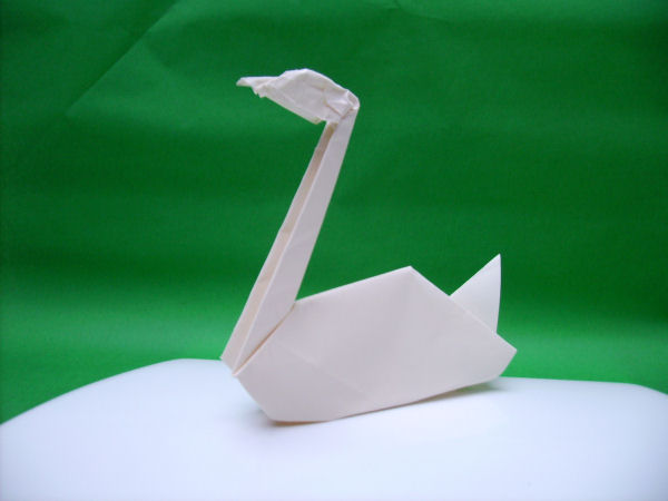 Swan