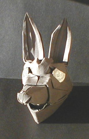 coyote head