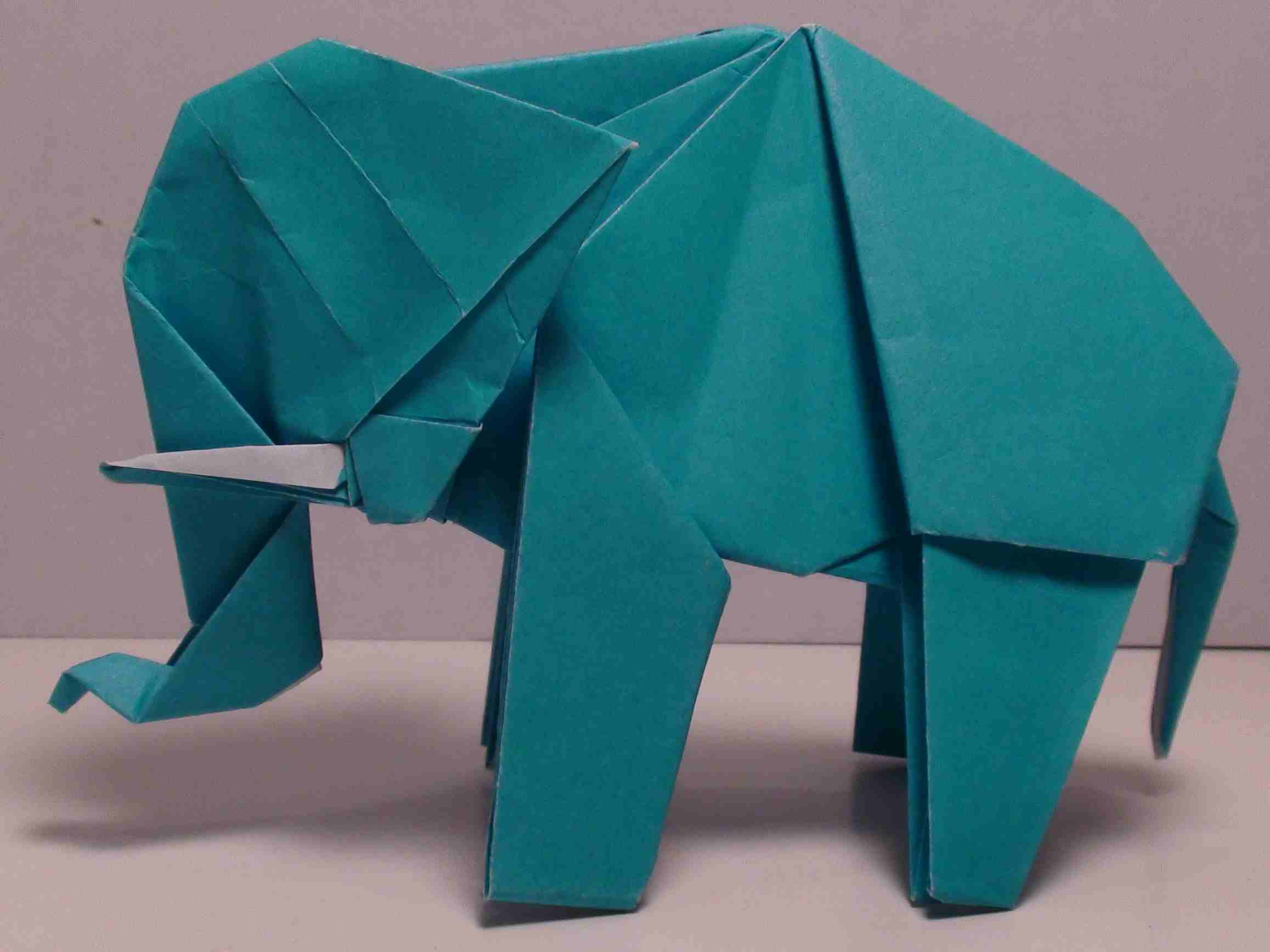 Elephant