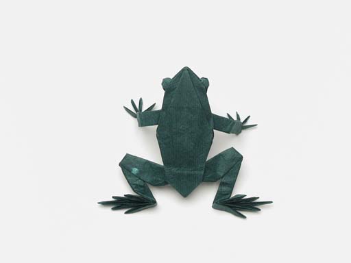 Tree Frog