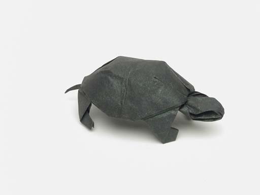 Turtle