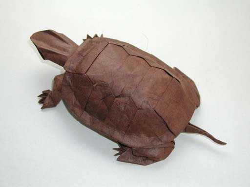 Western Pond Turtle