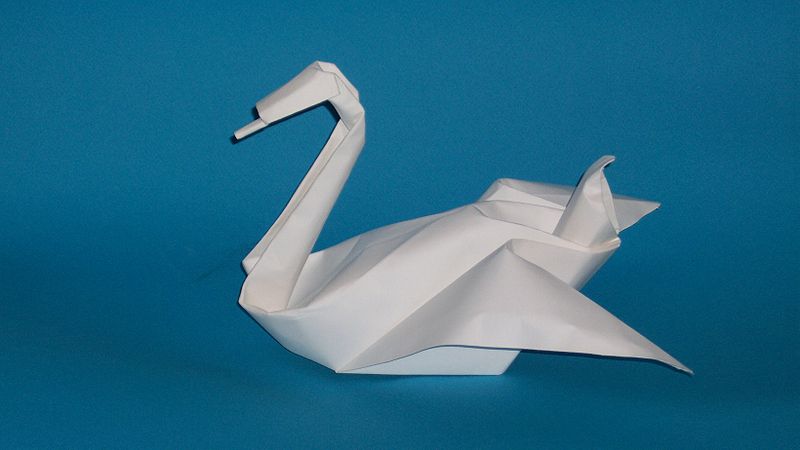 Swan