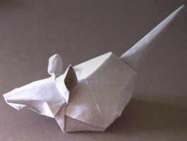 model image