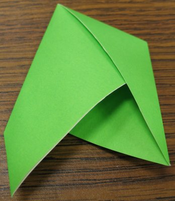 model image