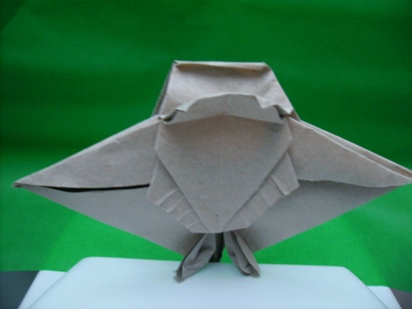 model image
