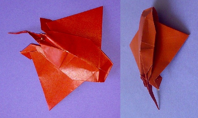 model image