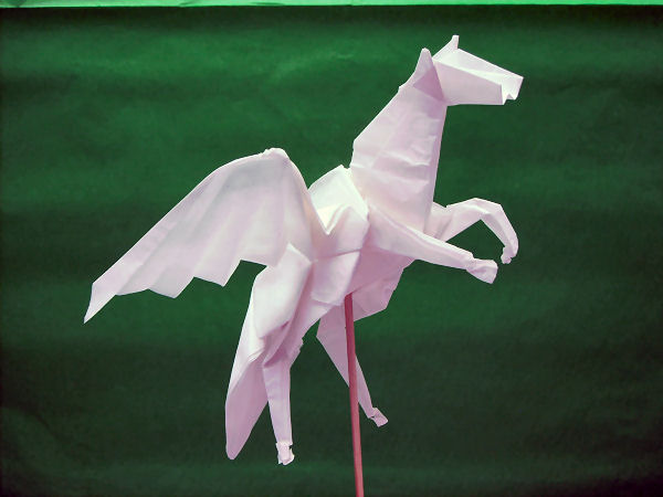 model image