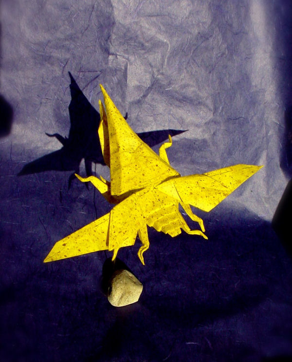 model image