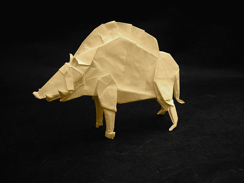 model image