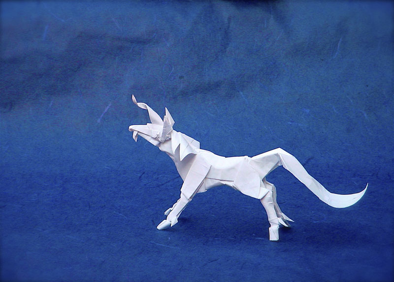 model image