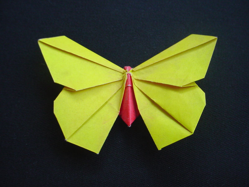 Origamido Butterfly