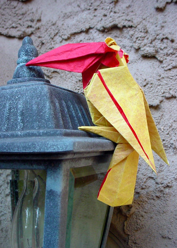 model image