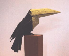 Toco Toucan