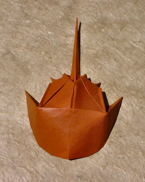 model image