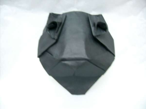 model image
