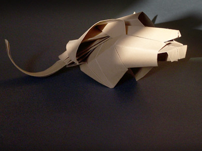 model image