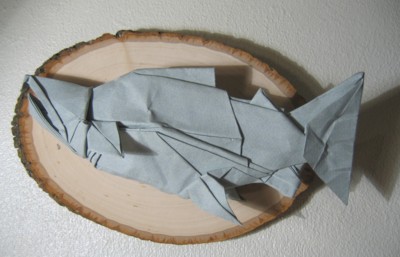 model image