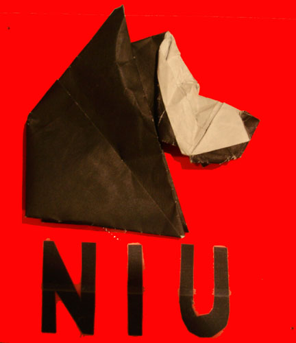 Huskie NIU