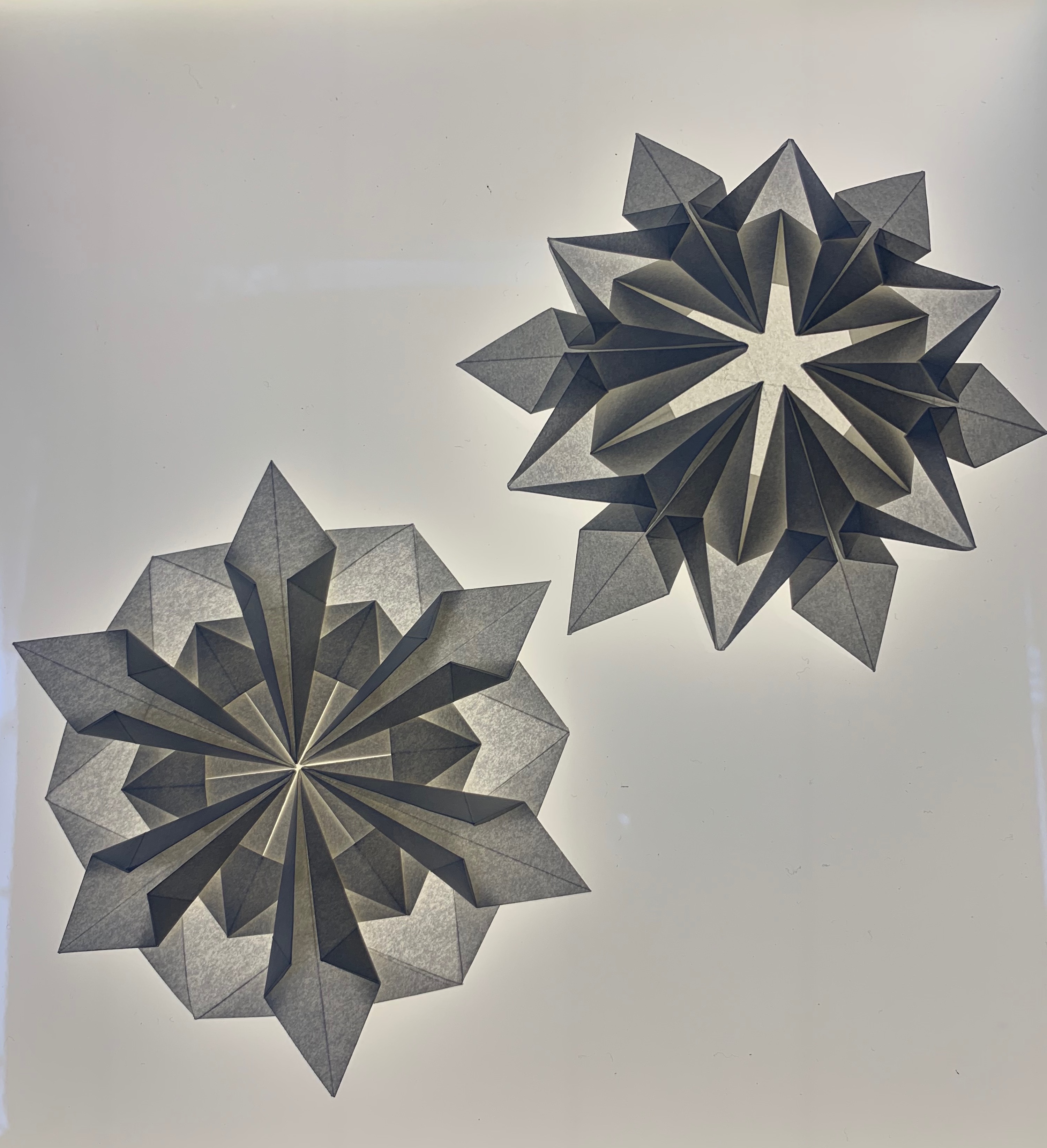 model image