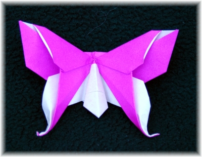 model image