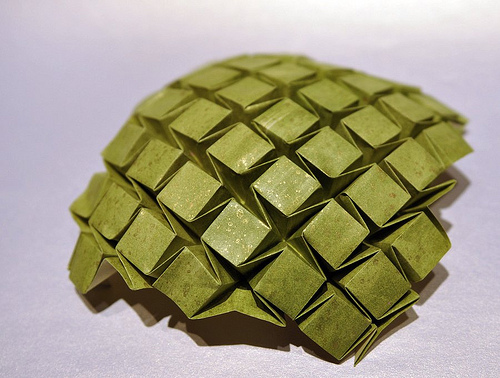 model image