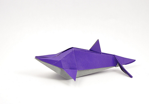 model image