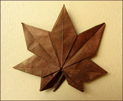 Maple Leaf