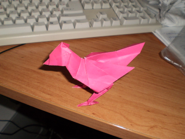 Bird
