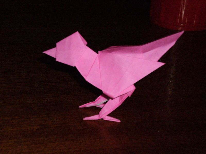Bird