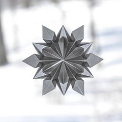 model image
