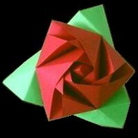 Magic Rose Cube