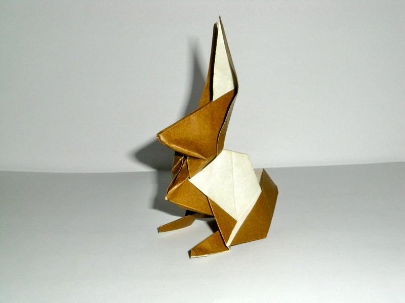 model image