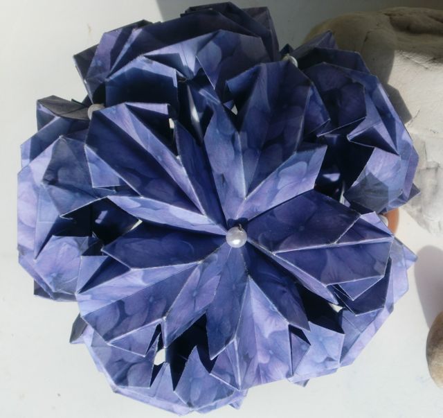 Chrysanthemum Ball