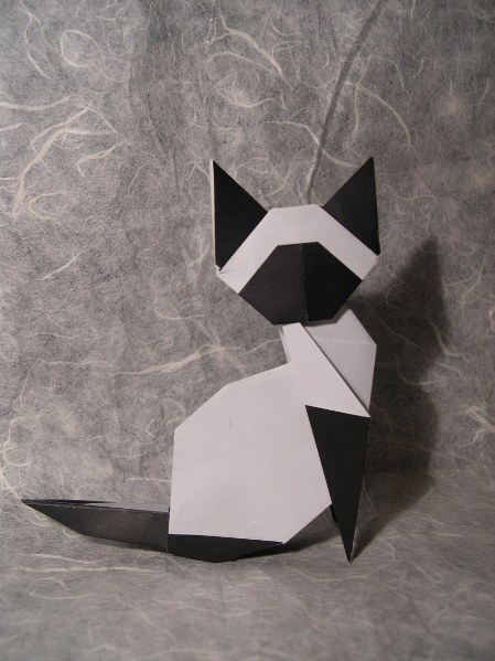 model image