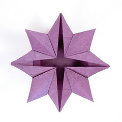 Star Flower